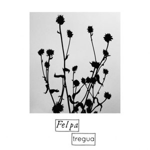Tregua