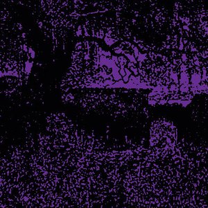 Avatar for Dawn Chorus