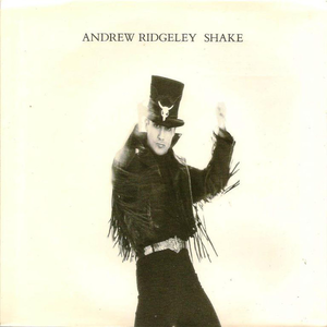 Shake album cover
