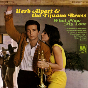 Herb Alpert & The Tijuana Brass - The Shadow Of Your Smile Lyrics - Zortam Music