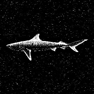 Avatar for mekaloton