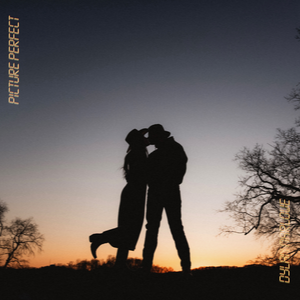 Artwork for PICTURE PERFECT