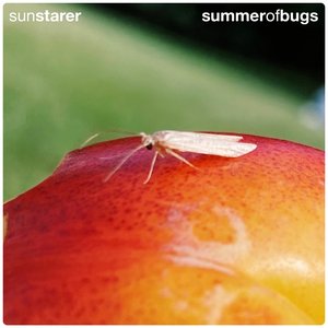 Summer of Bugs