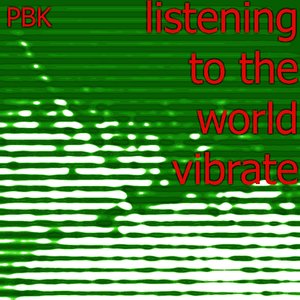 Listening To The World Vibrate