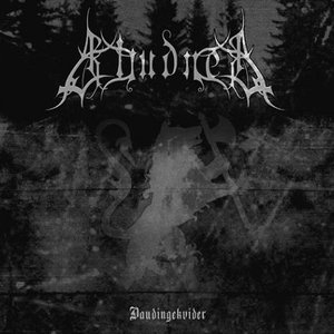 Daudingekvider