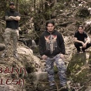 Avatar for Reborn in Flesh