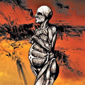 The Host