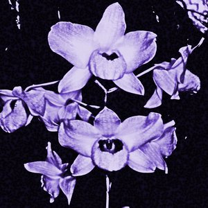 Avatar for Ectoplasm Collector