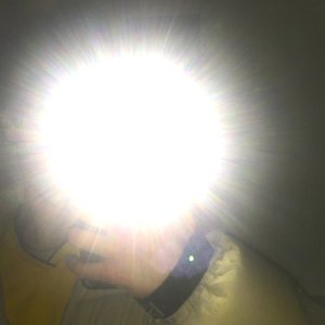 Avatar for Solosis