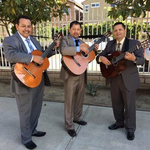 Avatar for Trio Rayos De Luz