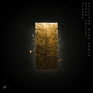 Never Change (Sullivan King Remix)