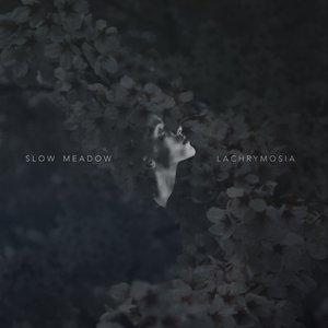 Lachrymosia / Some Familiar...