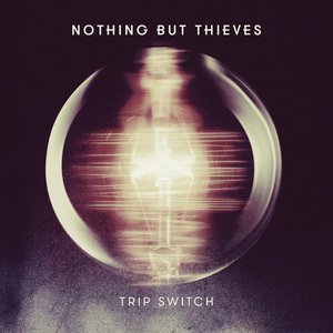 Trip Switch - Single
