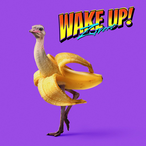 Artwork for Wake Up!