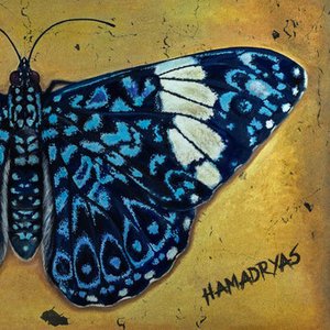 Hamadryas