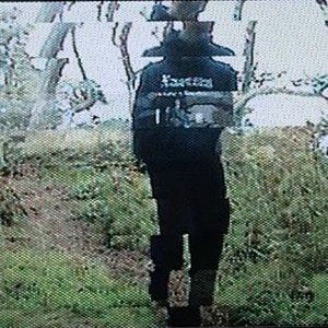 Avatar for DØVES
