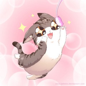 Avatar for Phatazza Cat
