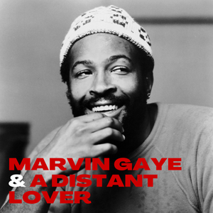 Marvin Gaye - Marvin Gaye & A Distant Lover