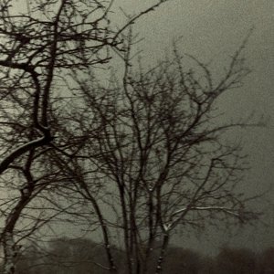 A Letter from the Silent Village