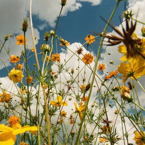 Spring/Clarion