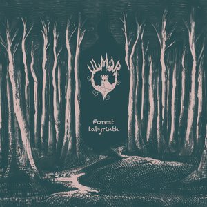 Forest labyrinth
