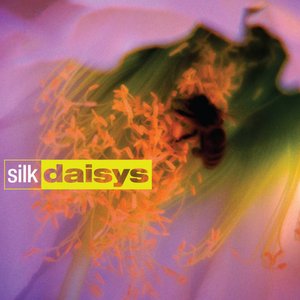 Silk Daisys