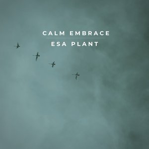 Calm Embrace