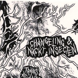 Avatar for Changeling & Nackt Insecten