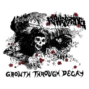 Growth Through Decay