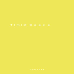 Timid Space