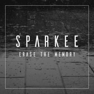 Erase the Memory