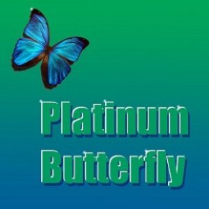 Avatar for Platinum Butterfly