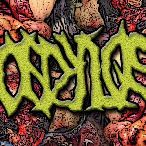 Avatar for Spondylosys