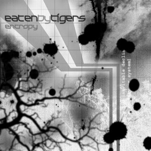Entropy