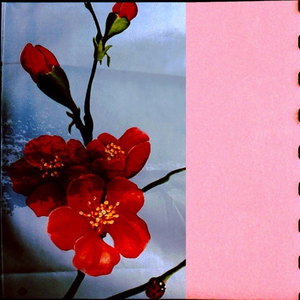 When They Align Just So, Memories of Another Life Bleed Into My Own by Ricky Eat Acid