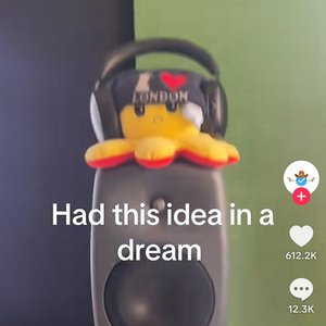 the ting goes quack