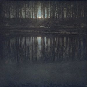Last Light of the Obsidian Cypress