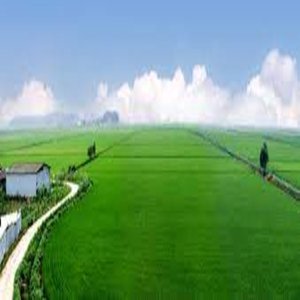 Farmlands
