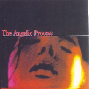 ...And Your Blood Is Full Of Honey by The Angelic Process