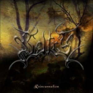 Reincarnation