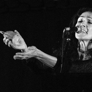 Avatar for Silvia Iriondo