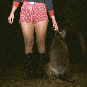 Bloodhound