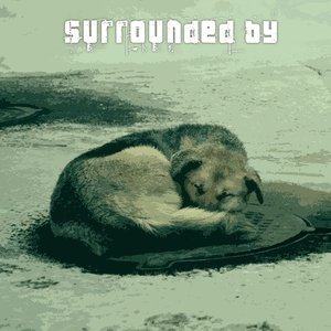 Avatar for Surrounded by