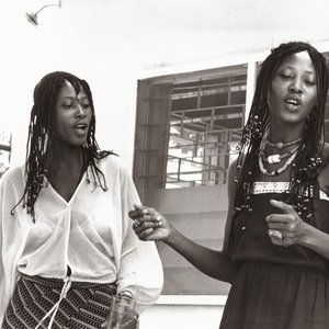 Avatar for The Lijadu Sisters