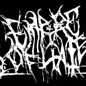 Demo II