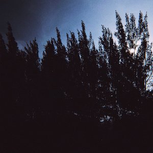 Fall - Single