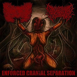 Enforced Cranial Separation (2 Way Split)