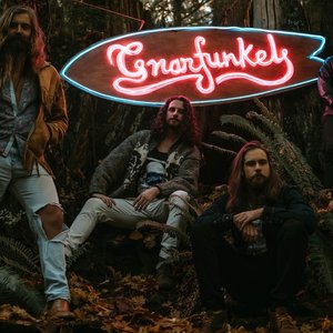 Awatar dla Gnarfunkel