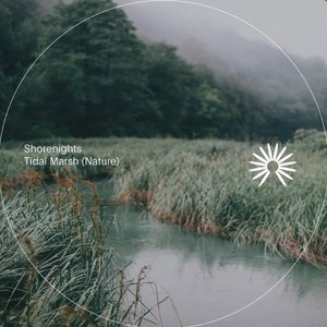 Tidal Marsh (Nature)