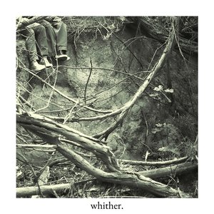 wilted
